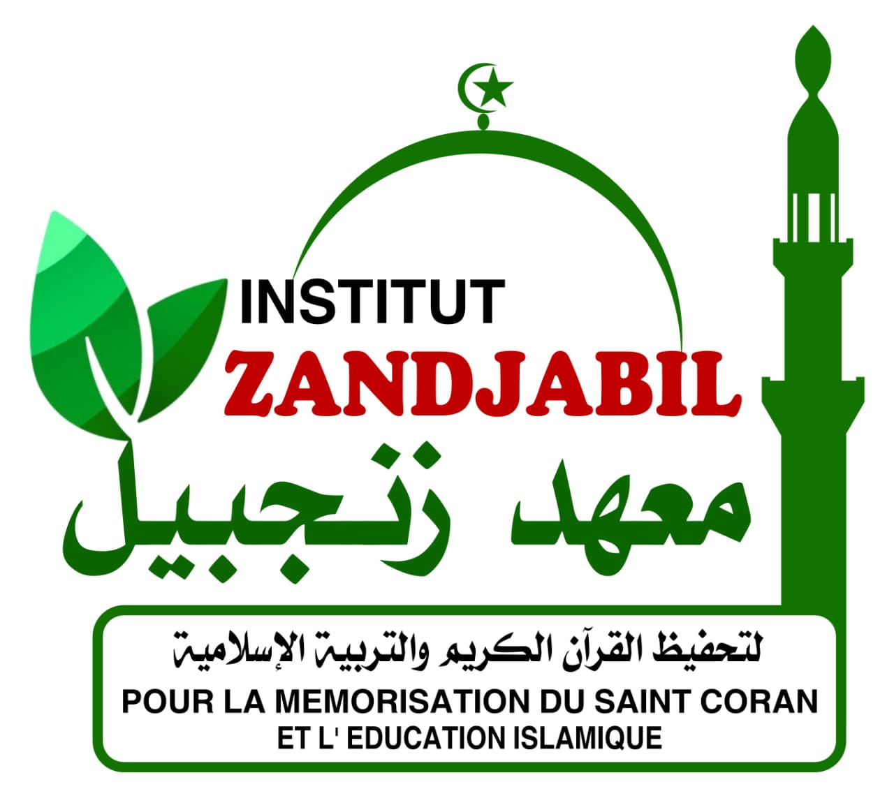 Institut Zandjabil Logo